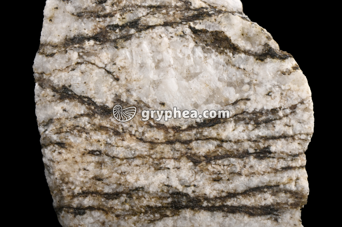 Oeil de Felspath orthose dans un gneiss - détail - gryphea.com